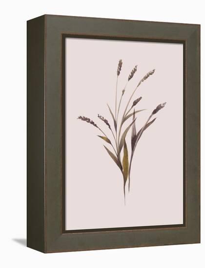 Wheat-Design Fabrikken-Framed Stretched Canvas