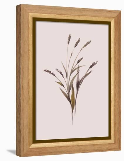 Wheat-Design Fabrikken-Framed Stretched Canvas