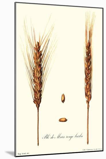 Wheat-Philippe-Victoire Leveque de Vilmorin-Mounted Art Print