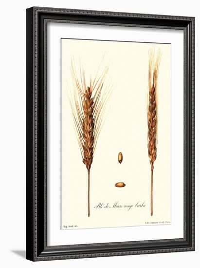 Wheat-Philippe-Victoire Leveque de Vilmorin-Framed Art Print