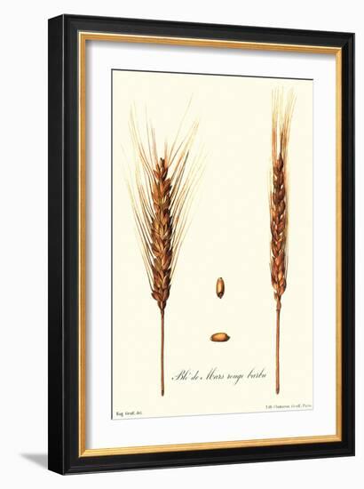 Wheat-Philippe-Victoire Leveque de Vilmorin-Framed Art Print