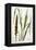 Wheat-Marguerite Buret-Framed Premier Image Canvas