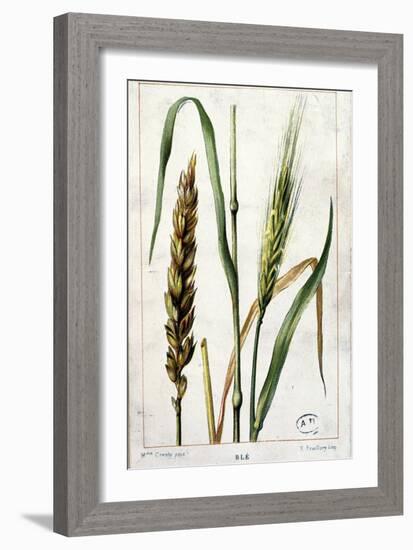 Wheat-Marguerite Buret-Framed Giclee Print