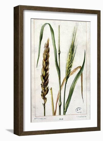 Wheat-Marguerite Buret-Framed Giclee Print