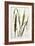 Wheat-Marguerite Buret-Framed Giclee Print