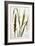 Wheat-Marguerite Buret-Framed Giclee Print