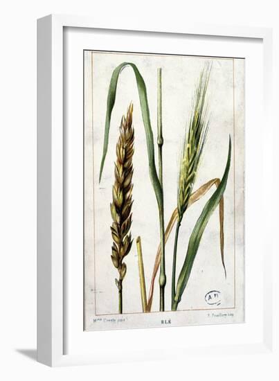 Wheat-Marguerite Buret-Framed Giclee Print