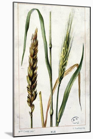 Wheat-Marguerite Buret-Mounted Giclee Print