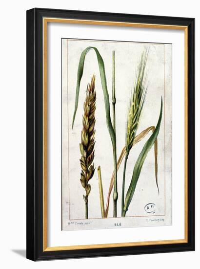 Wheat-Marguerite Buret-Framed Giclee Print