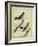 Wheatear and Whinchat-Georges-Louis Buffon-Framed Giclee Print