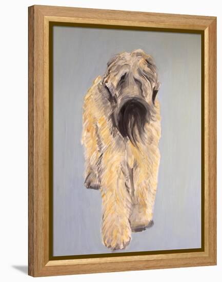 Wheaten Terrier-Sally Muir-Framed Premier Image Canvas