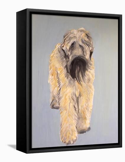 Wheaten Terrier-Sally Muir-Framed Premier Image Canvas