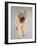 Wheaten Terrier-Sally Muir-Framed Giclee Print