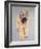 Wheaten Terrier-Sally Muir-Framed Giclee Print