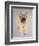 Wheaten Terrier-Sally Muir-Framed Giclee Print