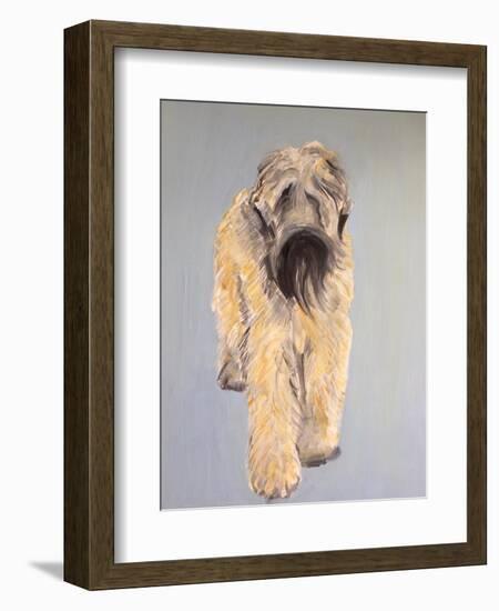 Wheaten Terrier-Sally Muir-Framed Giclee Print