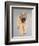 Wheaten Terrier-Sally Muir-Framed Giclee Print