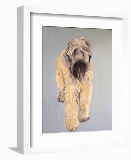 Wheaten Terrier-Sally Muir-Framed Giclee Print