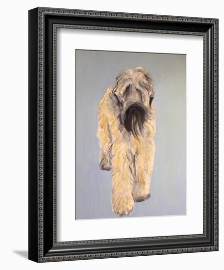 Wheaten Terrier-Sally Muir-Framed Giclee Print