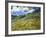 Wheatfield and Mountains, c.1889-Vincent van Gogh-Framed Giclee Print