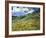 Wheatfield and Mountains, c.1889-Vincent van Gogh-Framed Giclee Print