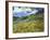 Wheatfield and Mountains, c.1889-Vincent van Gogh-Framed Giclee Print