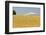 Wheatfield near Harvest Time in Summer, Mt. Jefferson behind, near Redmond, Eastern Oregon, USA-Stuart Westmorland-Framed Photographic Print