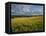 Wheatfield, Warwickshire, England, United Kingdom, Europe-David Hughes-Framed Premier Image Canvas