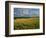 Wheatfield, Warwickshire, England, United Kingdom, Europe-David Hughes-Framed Photographic Print