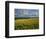 Wheatfield, Warwickshire, England, United Kingdom, Europe-David Hughes-Framed Photographic Print