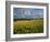 Wheatfield, Warwickshire, England, United Kingdom, Europe-David Hughes-Framed Photographic Print