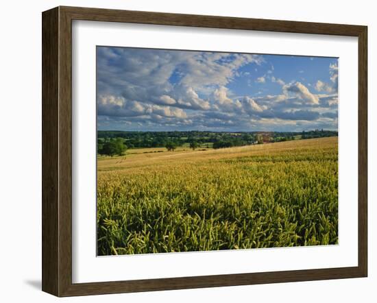 Wheatfield, Warwickshire, England, United Kingdom, Europe-David Hughes-Framed Photographic Print