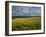 Wheatfield, Warwickshire, England, United Kingdom, Europe-David Hughes-Framed Photographic Print