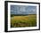 Wheatfield, Warwickshire, England, United Kingdom, Europe-David Hughes-Framed Photographic Print