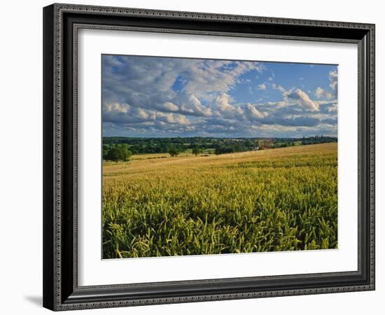 Wheatfield, Warwickshire, England, United Kingdom, Europe-David Hughes-Framed Photographic Print