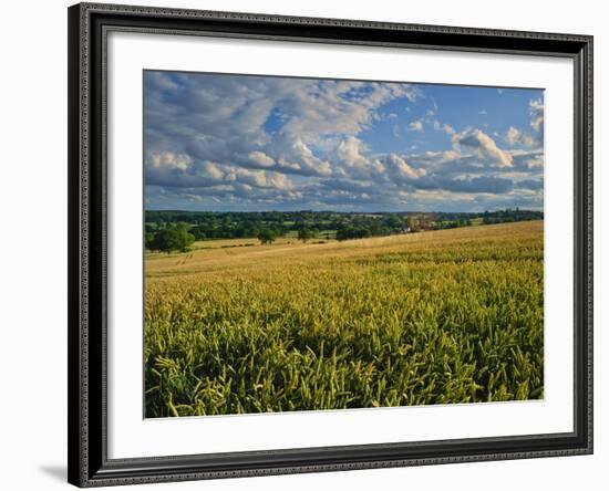 Wheatfield, Warwickshire, England, United Kingdom, Europe-David Hughes-Framed Photographic Print