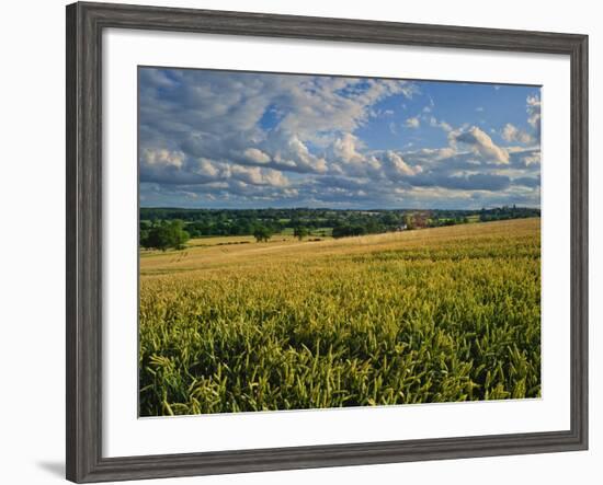 Wheatfield, Warwickshire, England, United Kingdom, Europe-David Hughes-Framed Photographic Print