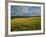 Wheatfield, Warwickshire, England, United Kingdom, Europe-David Hughes-Framed Photographic Print