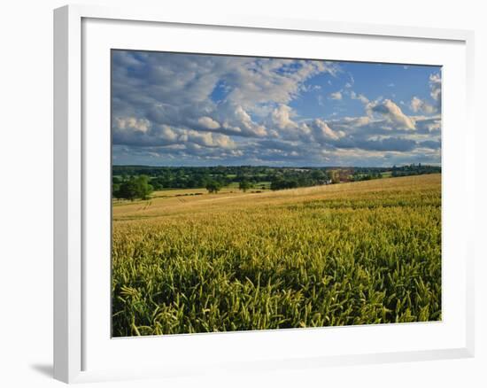 Wheatfield, Warwickshire, England, United Kingdom, Europe-David Hughes-Framed Photographic Print