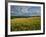 Wheatfield, Warwickshire, England, United Kingdom, Europe-David Hughes-Framed Photographic Print