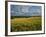 Wheatfield, Warwickshire, England, United Kingdom, Europe-David Hughes-Framed Photographic Print