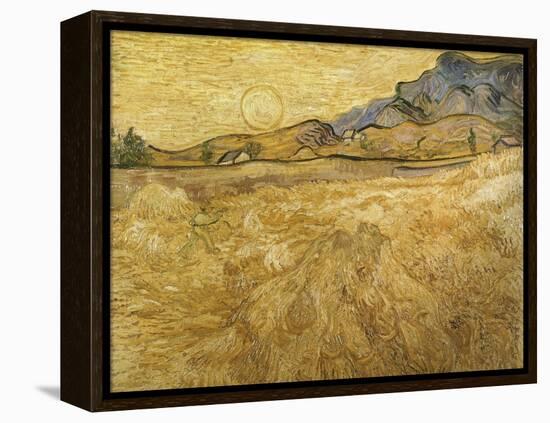 Wheatfield with Reaper, 1889-Vincent van Gogh-Framed Premier Image Canvas