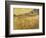 Wheatfield with Reaper, 1889-Vincent van Gogh-Framed Giclee Print