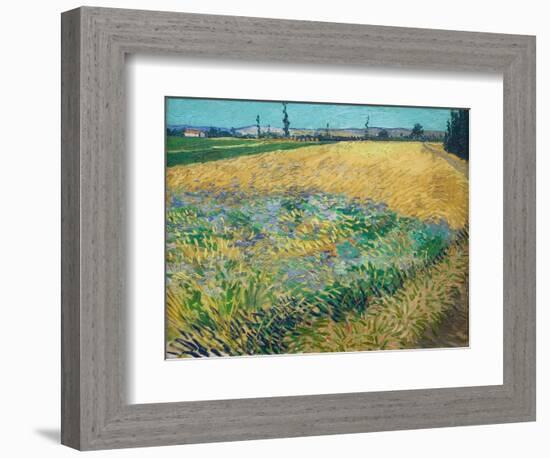 Wheatfield-Vincent van Gogh-Framed Giclee Print