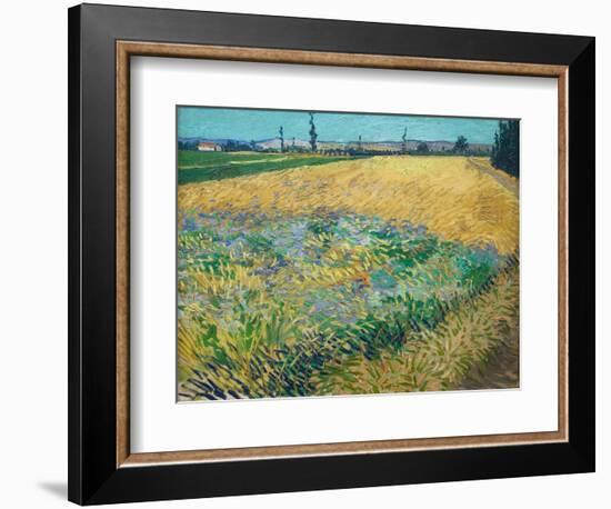 Wheatfield-Vincent van Gogh-Framed Giclee Print