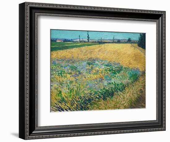 Wheatfield-Vincent van Gogh-Framed Giclee Print