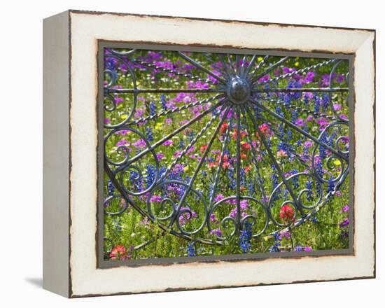 Wheel Gate and Fence with Blue Bonnets, Indian Paint Brush and Phlox, Near Devine, Texas, USA-Darrell Gulin-Framed Premier Image Canvas