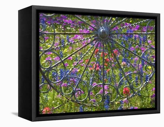 Wheel Gate and Fence with Blue Bonnets, Indian Paint Brush and Phlox, Near Devine, Texas, USA-Darrell Gulin-Framed Premier Image Canvas