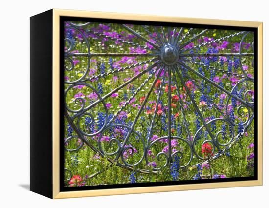 Wheel Gate and Fence with Blue Bonnets, Indian Paint Brush and Phlox, Near Devine, Texas, USA-Darrell Gulin-Framed Premier Image Canvas