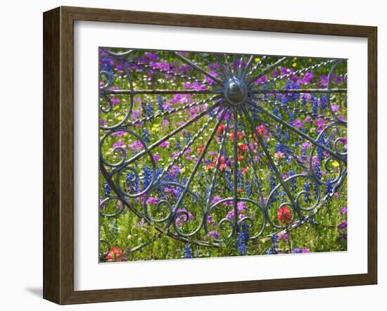 Wheel Gate and Fence with Blue Bonnets, Indian Paint Brush and Phlox, Near Devine, Texas, USA-Darrell Gulin-Framed Photographic Print